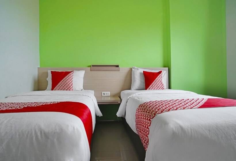 Hotel Collection O 91373 M