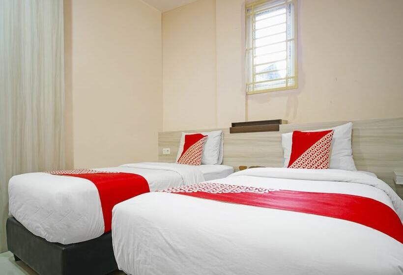 Hotel Collection O 91373 M