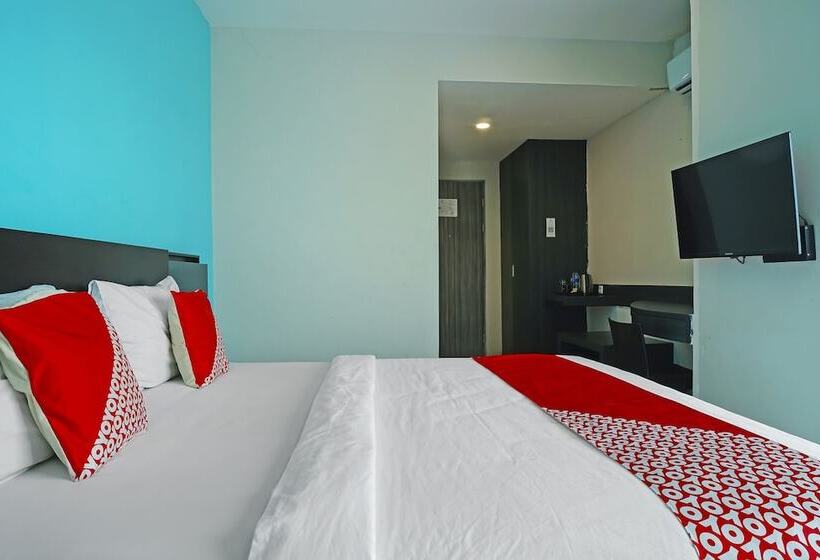 Hotel Collection O 91373 M