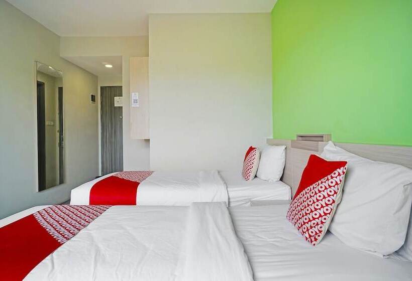 Hotel Collection O 91373 M