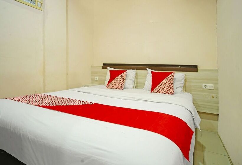 Hotel Collection O 91373 M