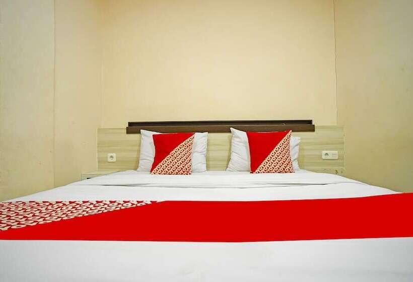 Hotel Collection O 91373 M