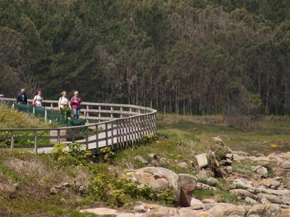 호텔 Nuevo Parranda