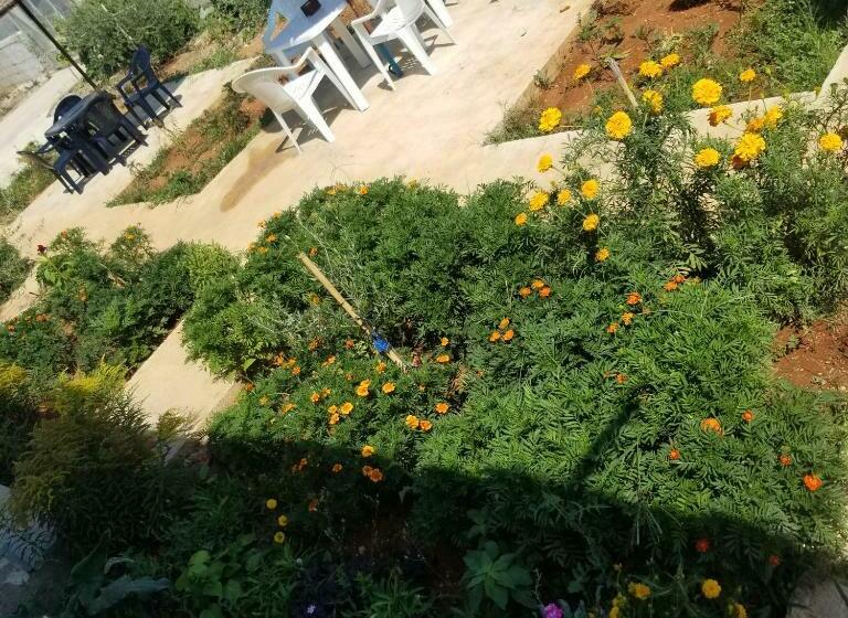 פנסיון Rey Garden Villa