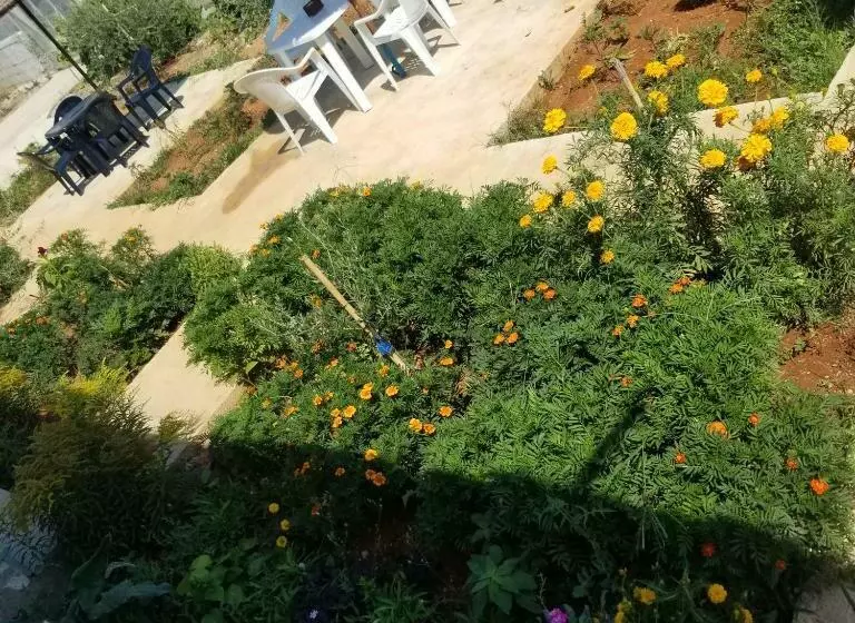 پانسیون Rey Garden Villa