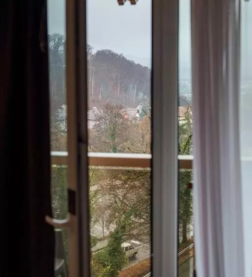 Bed and Breakfast Vila Noblesse