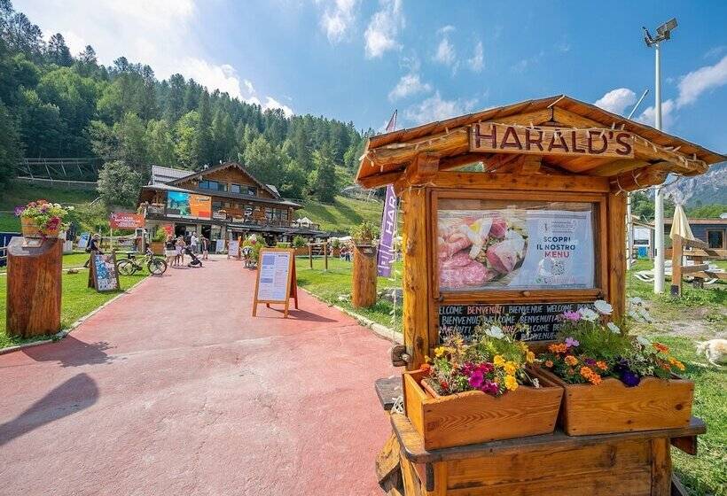 La Tana Dello Scoiattolo Skiing Nearby Happy Rentals