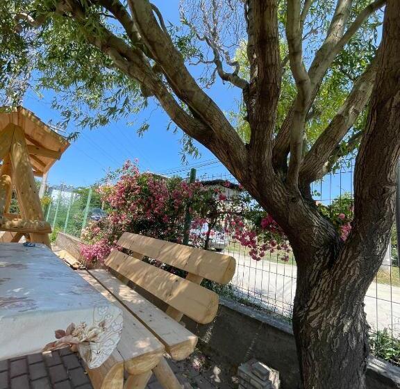 پانسیون Vila Pinica