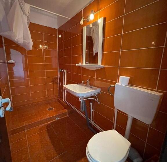 پانسیون Vila Pinica