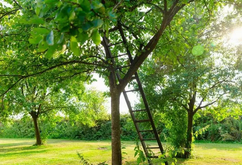 ベッドアンドブレックファースト De Heerlijkheid Loenen Bed En Breakfast