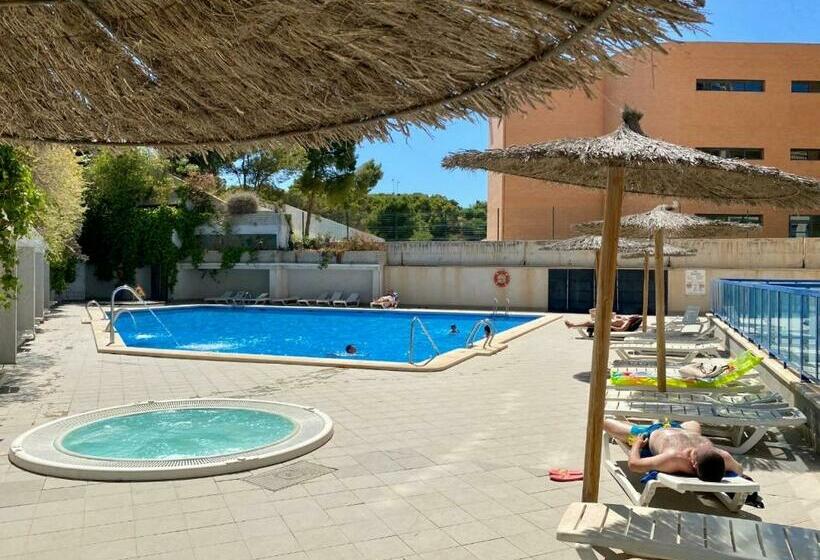 Alicante Costa Suite