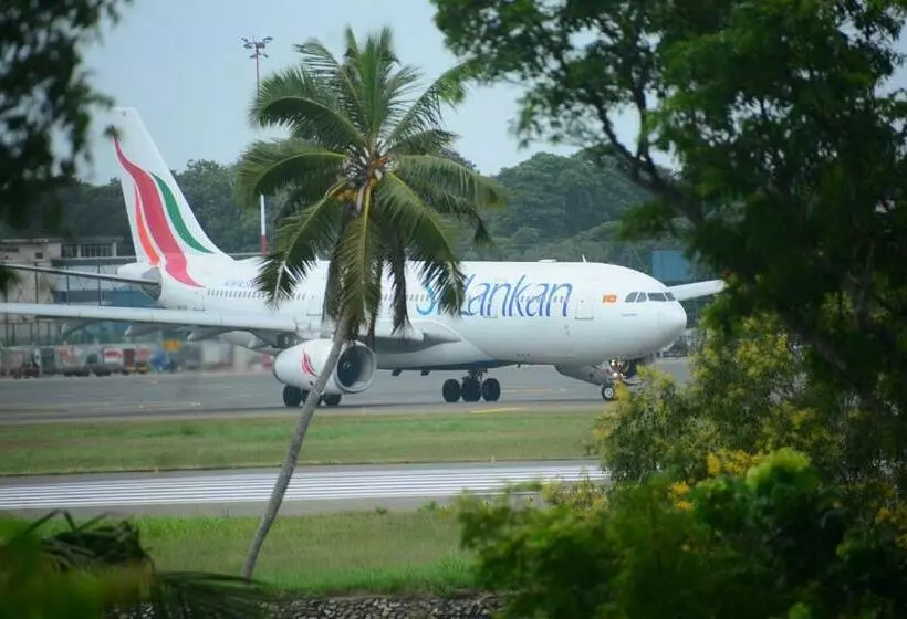 Concey Transit Hotel Airport View