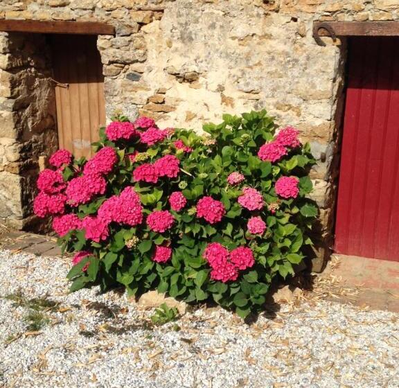 פנסיון Le Clos De La Viniere