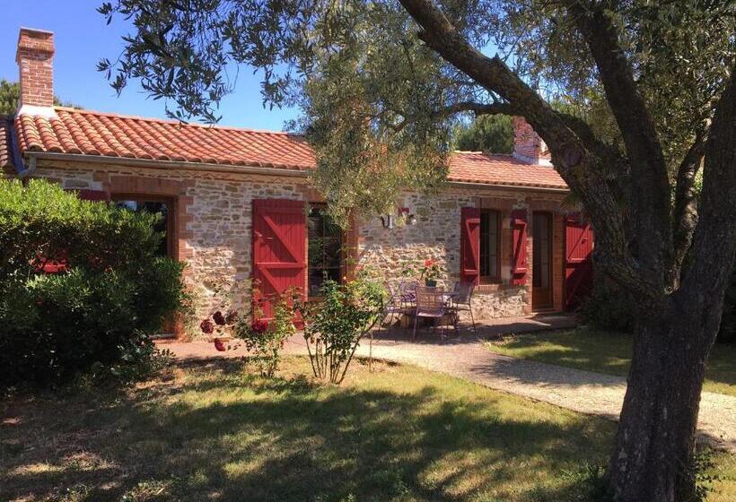 פנסיון Le Clos De La Viniere