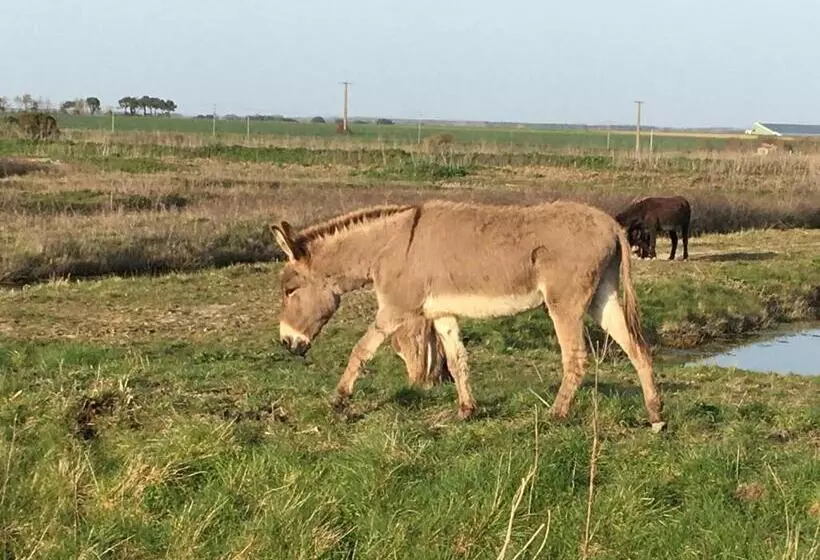 ペンション Le Clos De La Viniere