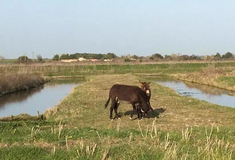 ペンション Le Clos De La Viniere