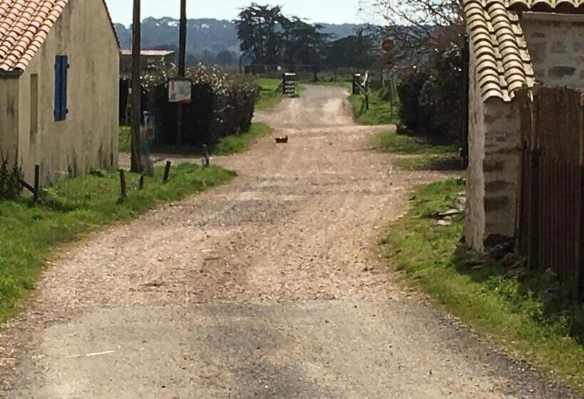 פנסיון Le Clos De La Viniere