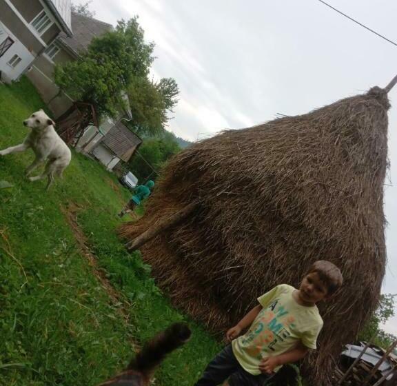 پانسیون Room In Guest Room Enjoy Your Holiday On Wonder Transylvania
