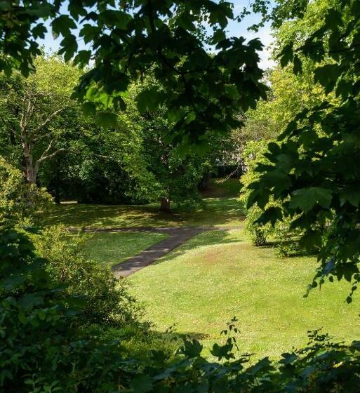 הוסטל Comfortable Ground Floor Double Room