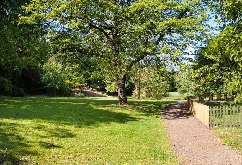 הוסטל Comfortable Ground Floor Double Room