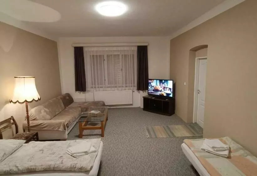 Majatalo Apartmán Horní Slavkov Hodinářství
