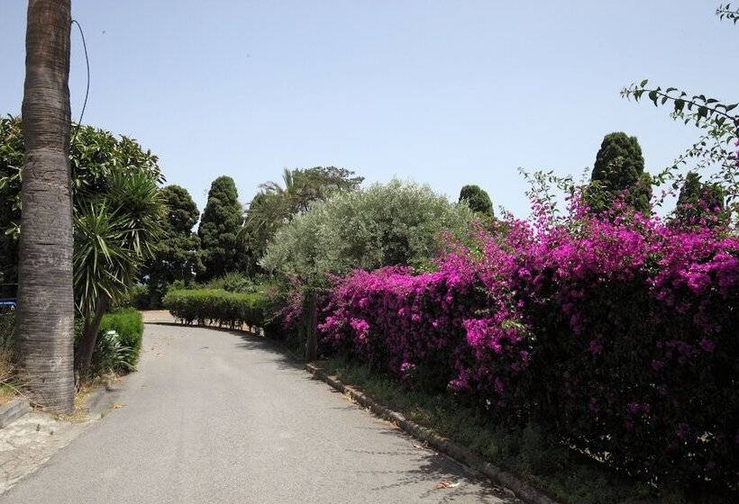 Bed and Breakfast Lady Hill