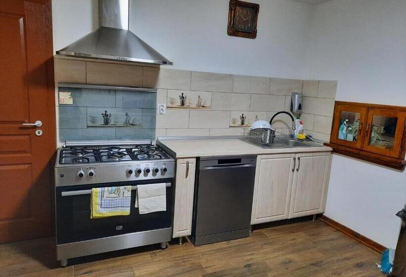 Пансион Izvorul Maleii