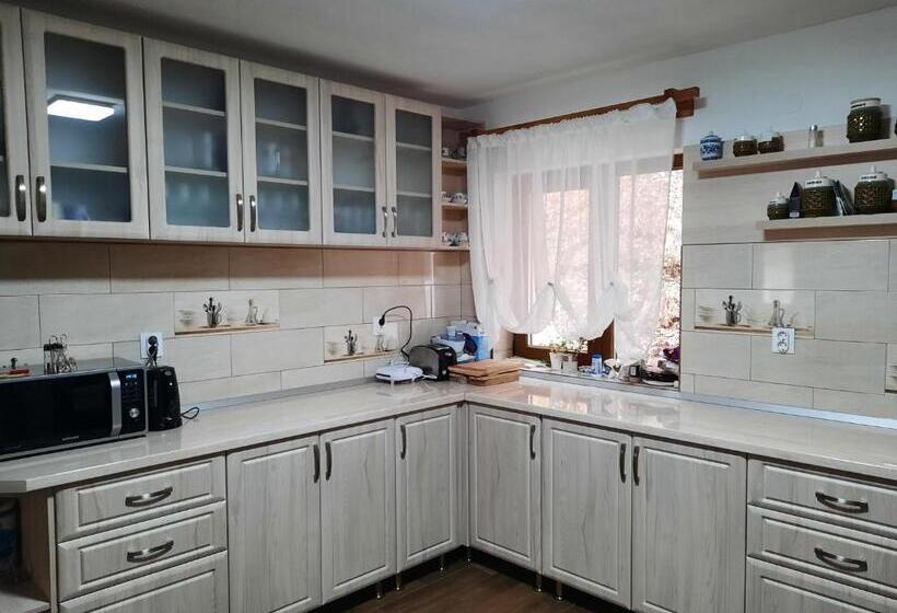 Пансион Izvorul Maleii