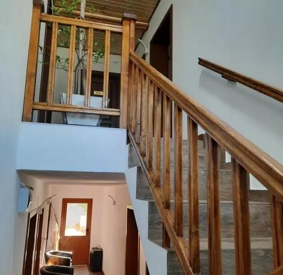 ペンション Izvorul Maleii