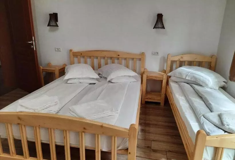 ペンション Izvorul Maleii