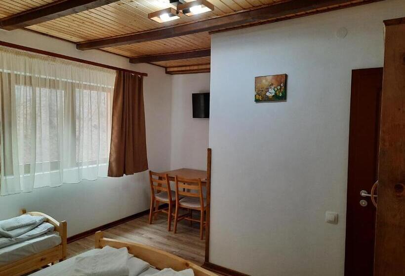 Пансион Izvorul Maleii