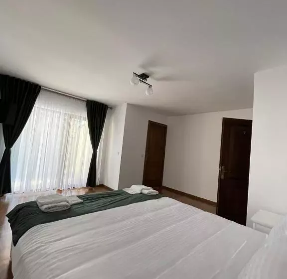 ペンション Silver Mountain Villa Colibita