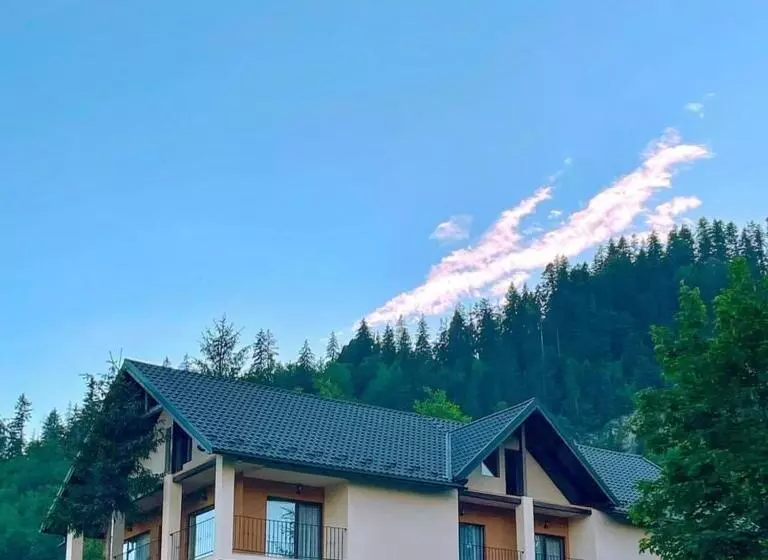 ペンション Silver Mountain Villa Colibita