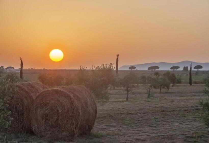 בית מלון כפרי Casale Oliveta