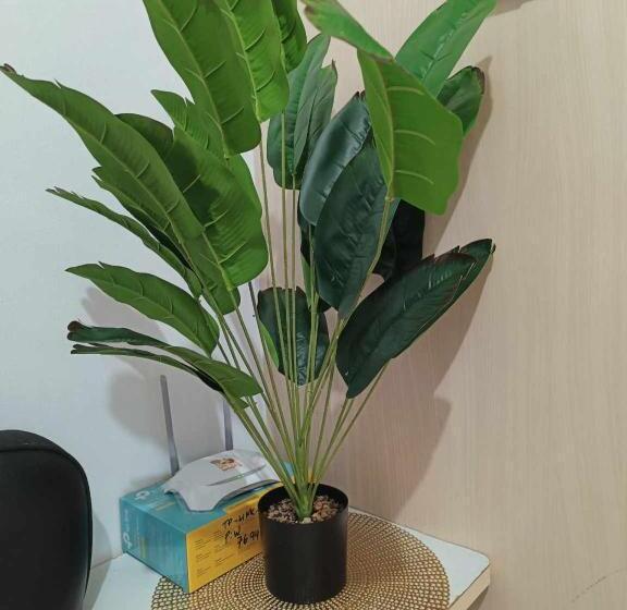 Szálloda Sea Residences By Sher