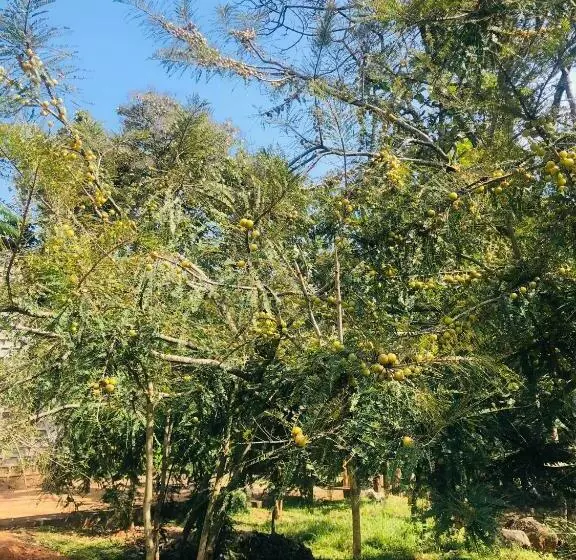 ホテル The Tamarai Yelagiri