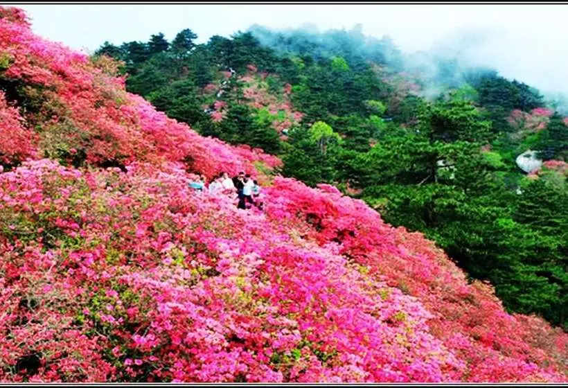 Otel Guangzhou Shan Dong Building Luyue