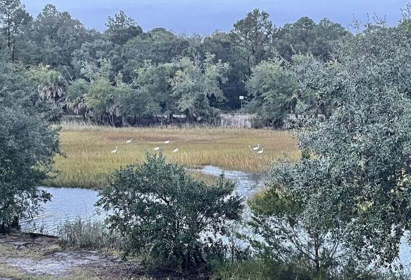 Blue Heron Retreat