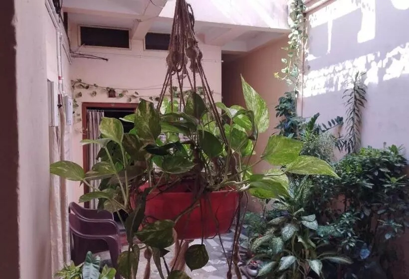 ペンション Divine View   Ac Room For 2 Pax   Swarna Bhavan