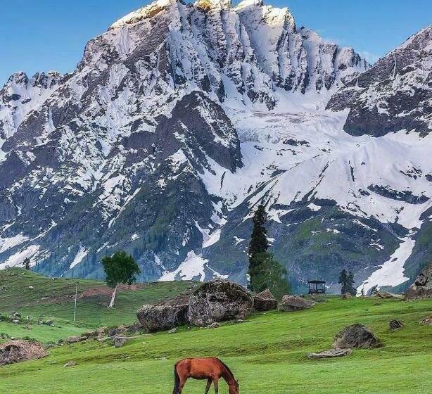 펜션 Mir Guest House