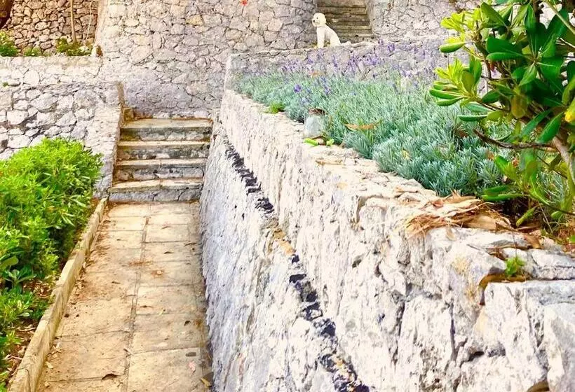Aamiaismajoitus (B&B) Dame Del Mare