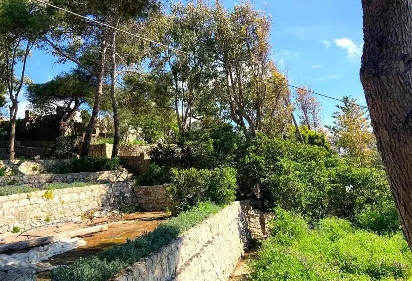 Aamiaismajoitus (B&B) Dame Del Mare