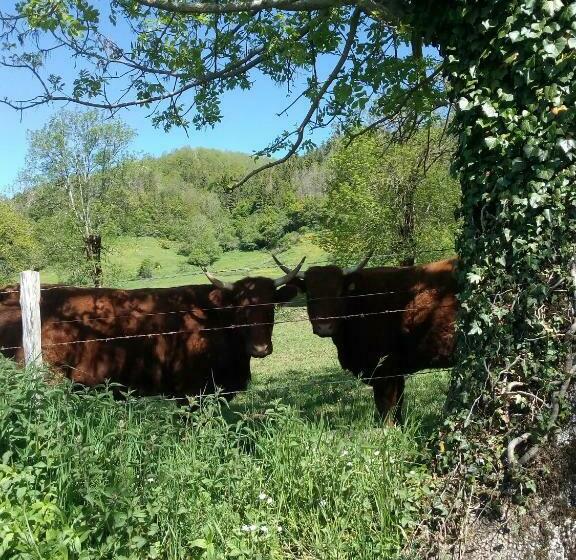 민박 Maison Du Chevalier Des Huttes   Table Et Chambres D Hôtes