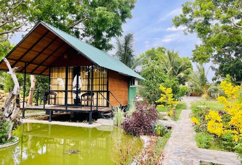 Kaaya Eco Resort Yala