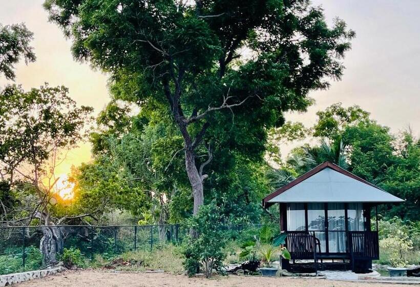 Kaaya Eco Resort Yala