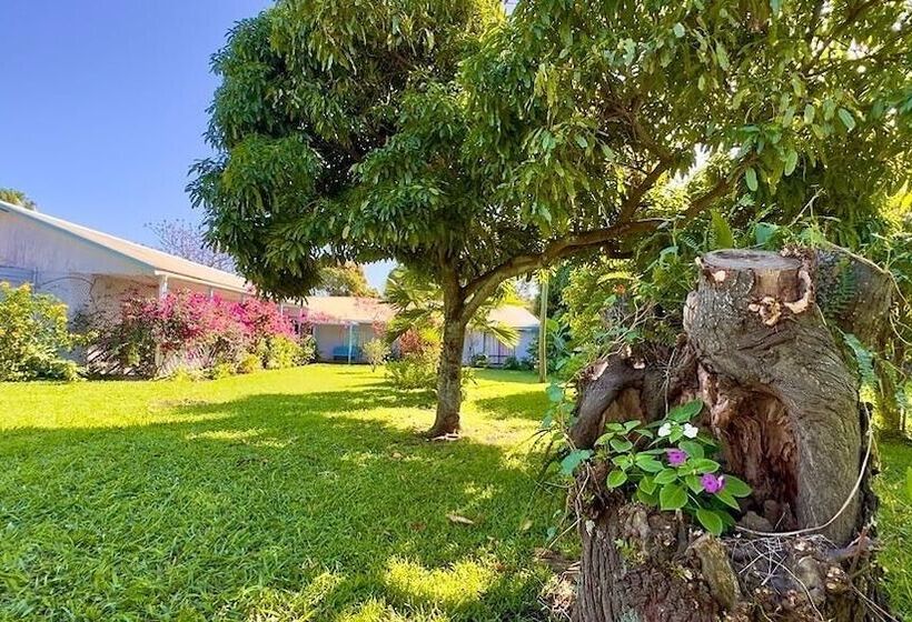 تختخواب و صبحانه Kahina Lodge