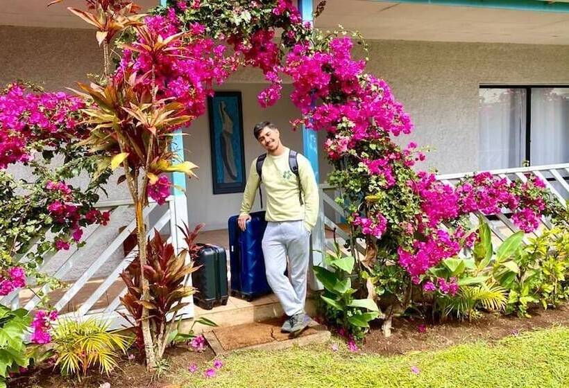 تختخواب و صبحانه Kahina Lodge