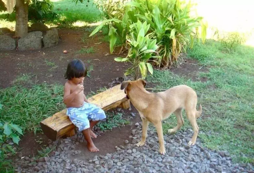 Aamiaismajoitus (B&B) Kahina Lodge