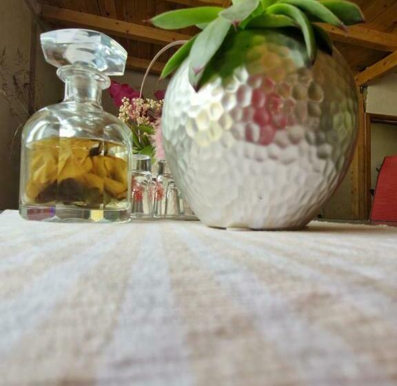 پانسیون Renate House