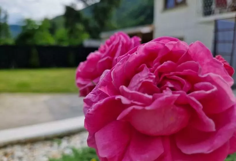 ペンション Renate House